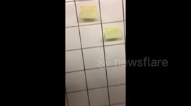 Newsflare Edit - Subway notes give New Yorkers free 'therapy'