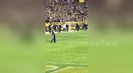 Newsflare Edit - Clay Matthews gets scared by squirrel