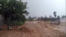 Johannesburg: Edenvale Flash Food