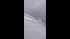 Stray dog helps mountaineers down trecherous slopes