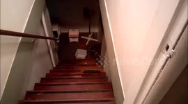 A raccoon calmly eats cat food at the bottom of the stairs