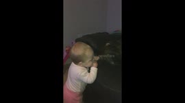 Vicous baby attacking dog