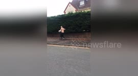 Newsflare Edit - Just when you thought you'd seen it all... https://t.co/p6UBMcpvQ3