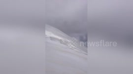 Newsflare Edit - Kazbek - frozen dog before the accident (September 2016)