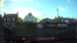 Dinosaur running fown the road caught on dashcam