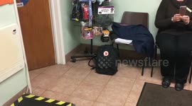 Heartwarming moment a dog is reunited with her owner THREE YEARS