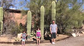 YouTuber personifies saguaro cacti in Arizona desert