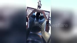 Newsflare Edit - Julie forgets her childhood