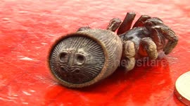 Ancient, bizarre spider with 'disk' on its back discovered in China