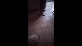 Jack sees snow for first time