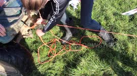 SKIING WITHOUT SNOW IN THE GREAT BRITISH COUNTRYSIDE!!