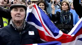 UKIP party rally in Central London