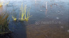 Ice covering Ballyronan Marina in Northern Ireland
