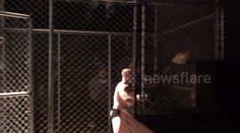 Pro wrestler leaps off of staging area onto his opponents!!!