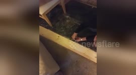 Newsflare Edit - Cat stuck inside the walls and floor