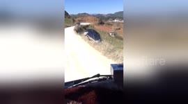 Car giving way to lorry rolls down the fields