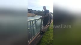 Newsflare Edit - Exeter fishermen caught kangaroo