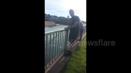 Fishermen discover what looks like a dead wallaby in a UK river