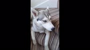 temp