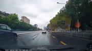 Driver rescues puppy stranded in middle of road in Shanghai, China
