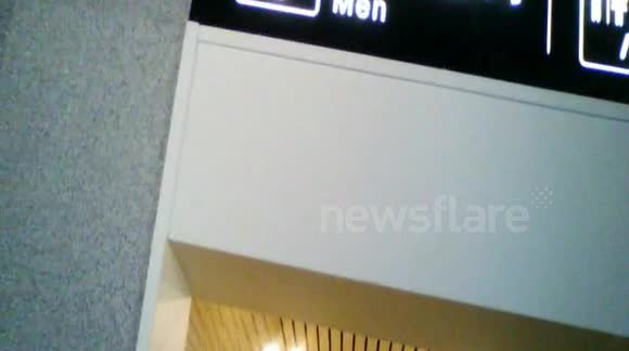 Men piss while women are cleaning toilets