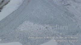 Chamois goats vs. avalanche