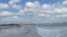 Surfing swans Kirra, Queensland, Australia