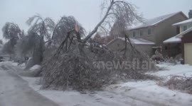 Brampton Ice Storm (December 22nd 2013)