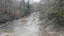 Plym valley river overflows banks plymouth devon