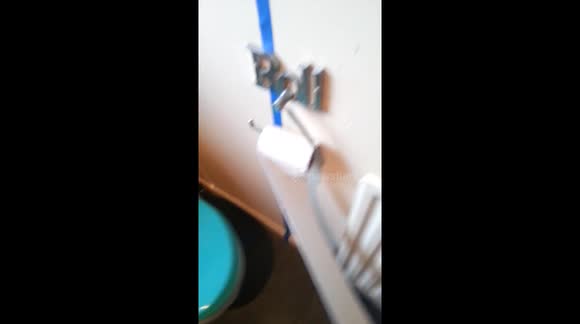 Dog Thinks she is an andrex puppy