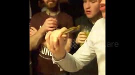 Irish lads eat giant water bugs on a Saturday night at the pub