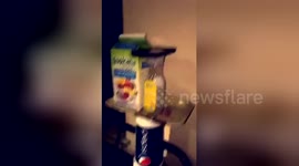 Newsflare Edit - Passed out on 4 xanax bars