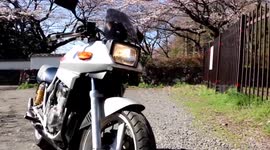 Sound of Moriwaki short tube,SUZUKI GSX250SS KATANA