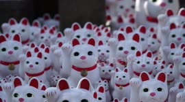Bizarre temple is home to a thousand 'lucky cats'