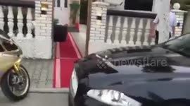 Corleone i dehur në pikë të ditës, flet italisht me macen e tij 