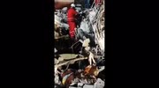 Kitten rescued alive 23 days after earthquakes in Venezuela