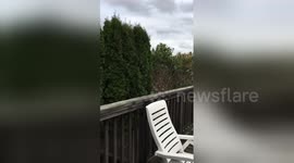 Newsflare Edit - Newsflare Edit - Christmas Thief makes a swift getaway