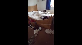 Kenny and Dusty make a mess