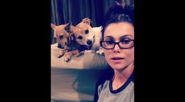 When you get kicked off your own bed by your dogs 