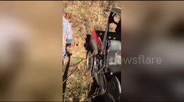 Group of men free bucks tangled together