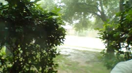 STREET SNORKELING !!!