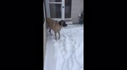 temp