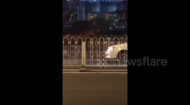 北京街头一枣红大马无惧车流上路狂奔 路人看傻眼