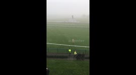 Grower not a shower at haydock races
