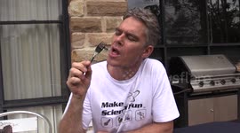 Australian larrikin catches and  barbecues beach worms and eats witchetty grubs