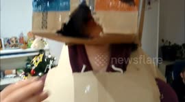 Cardboard Robot Struggles to Eat!