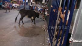 Calpe Bull Run Spain 2016