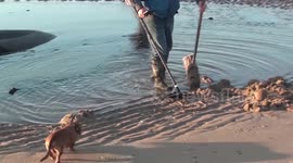 metal detecting blackpool beach 1/4