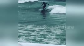 Surfers brave negative temperatures to ride waves on Lake Michigan