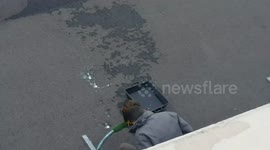 Eagle 'kisses' his handler